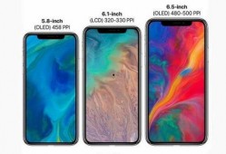 苹果价格最新爆料图今天