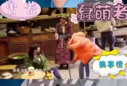 澳门小源哥最新爆料视频,揭秘幕后真相，带你走进事件核心