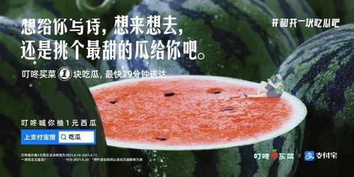 娱乐吃瓜文案视频