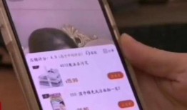 二狗爆料视频大全集,揭秘娱乐圈幕后真相