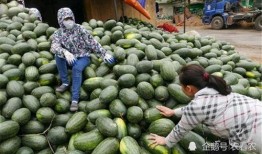 徐州百万网红吃瓜事件,揭秘网络事件背后的狂欢与争议