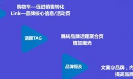 新闻爆料视频创作思路怎么写,揭秘幕后制作秘籍