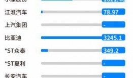比亚迪高管爆料最新动态,揭秘新能源汽车产业未来趋势与挑战