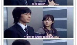 萤之光1在线观看,点亮梦想的璀璨之光