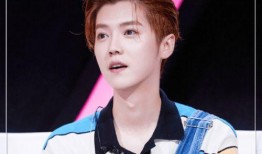 吃瓜娱乐圈鹿晗是谁,娱乐圈的瓜中明星