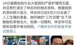 台媒近日爆料视频回放,视频回放揭露惊人内幕