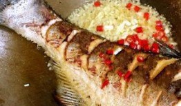 舌尖爆料烧鱼饭视频,揭秘烧鱼饭的独特魅力