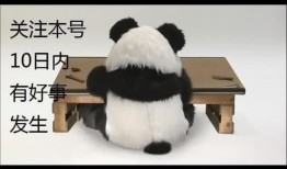 外媒爆料国足视频,国足备战内幕曝光，训练视频引发热议