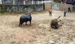 斗牛在线高清在线观看,激情碰撞，视觉盛宴