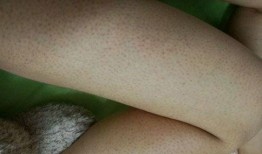 吃鸡皮肤爆料最新隐藏,吃鸡皮肤爆料中的隐藏元素大揭秘