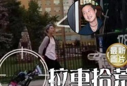 天龙之子最新爆料视频,揭秘神秘势力与奇幻冒险的交织