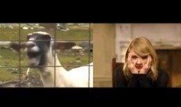 黄老板爆料唱歌视频,幕后唱歌瞬间，带你领略音乐魅力