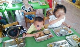 幼儿园吃饭爆料视频大全,温馨爆笑瞬间大盘点