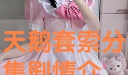天鹅套索全集在线观看,一场跨越时空的奇幻冒险之旅