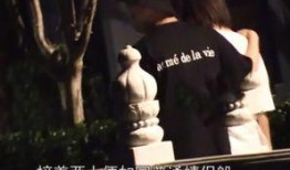 邓论金晨最新爆料,揭秘娱乐圈不为人知的幕后真相