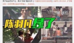 施子怡爆料后续视频,揭秘事件真相与更多内幕