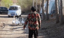 杜淳老婆爆料事件视频,揭秘娱乐圈夫妻真相