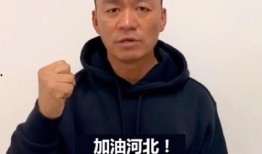 王宝强近况爆料视频,生活新篇章与事业新动向