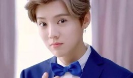 鹿晗父亲天涯爆料视频,揭秘明星家庭背后的真相