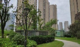 吃瓜翰林府最新事件爆料,揭秘最新宫廷秘闻风暴