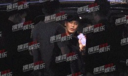 达鲁伊全部爆料视频大全,揭秘游戏幕后真相与精彩瞬间