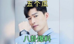 娱乐圈吃瓜明星爆料小说,揭秘明星背后的秘密与真相