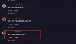 网上爆料何钰欣视频大全,网爆视频大全背后的故事与真相