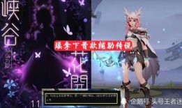 瑶妹儿最新皮肤爆料是真的吗