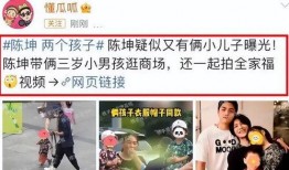 爆料娱乐圈三娃小说,豪门宠妻的甜蜜逆袭