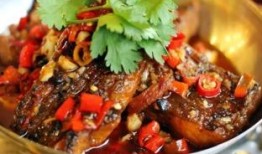 舌尖爆料烧鱼饭视频,揭秘烧鱼饭的独特魅力