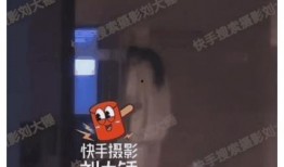刘大锤爆料被骂视频,真相与争议