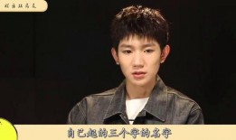 爆料贾乃亮王源视频,幕后真相引人猜测