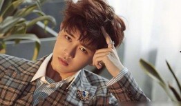 吃瓜娱乐任嘉伦完整版,揭秘明星幕后趣事