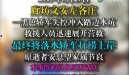 文安爆料视频最新版,事件真相与幕后黑手浮出水面