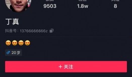 爆料北京博主视频下载安装,北京博主视频下载安装全过程