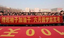 泰安二中爆料新闻视频,揭秘校园事件背后真相