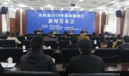 广西田林新闻爆料视频大全,视频大全揭秘当地热点事件