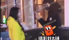 刘大锤爆料被骂视频,真相与争议