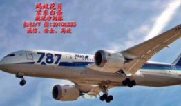 网友爆料飞机视频大全,飞机视频大全，空中奇观尽收眼底