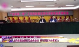 深圳龙岗新闻最新爆料,揭秘重大事件背后真相