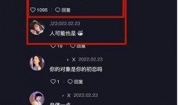 网上爆料何钰欣视频大全,网爆视频大全背后的故事与真相