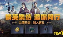 和平精英点券最新事件爆料