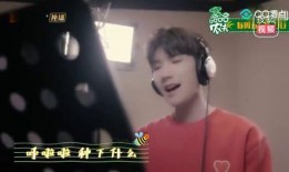 爆料贾乃亮王源视频,幕后真相引人猜测