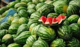 徐州百万网红吃瓜事件,揭秘网络事件背后的狂欢与争议