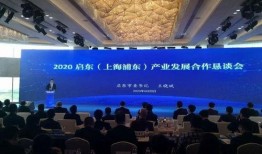 南通大新闻爆料,揭秘背后惊人真相！