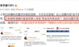 李平康最新爆料视频大全,揭秘背后惊人真相