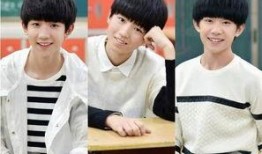 娱乐圈真实爆料王源视频,娱乐圈背后的真相揭秘