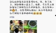 午夜南瓜爆料视频大全,视频大全背后的惊悚故事
