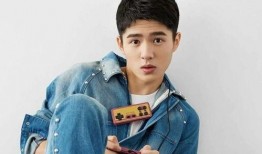 小鲜肉刘昊然大爆料视频