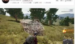 主播搞笑爆料大全图片视频